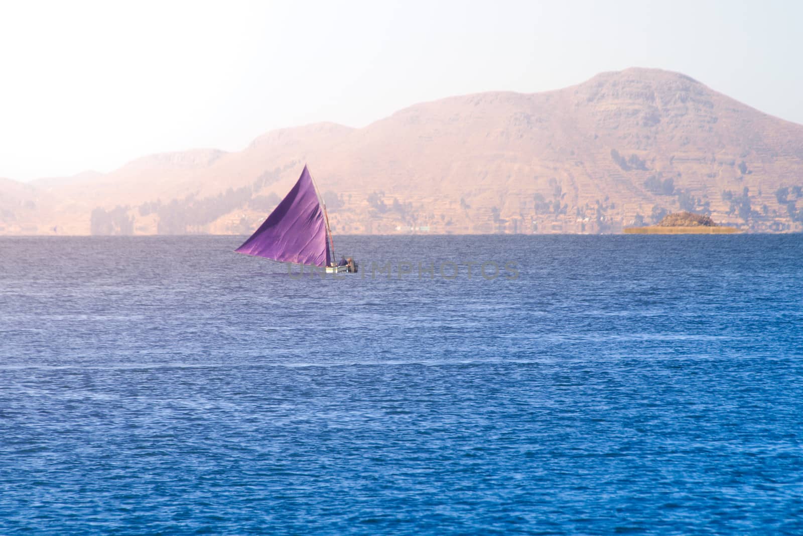 Traditional small sailing boat with triangle violet sail on Titicaca Lake, Peru and Bolivia, South America.