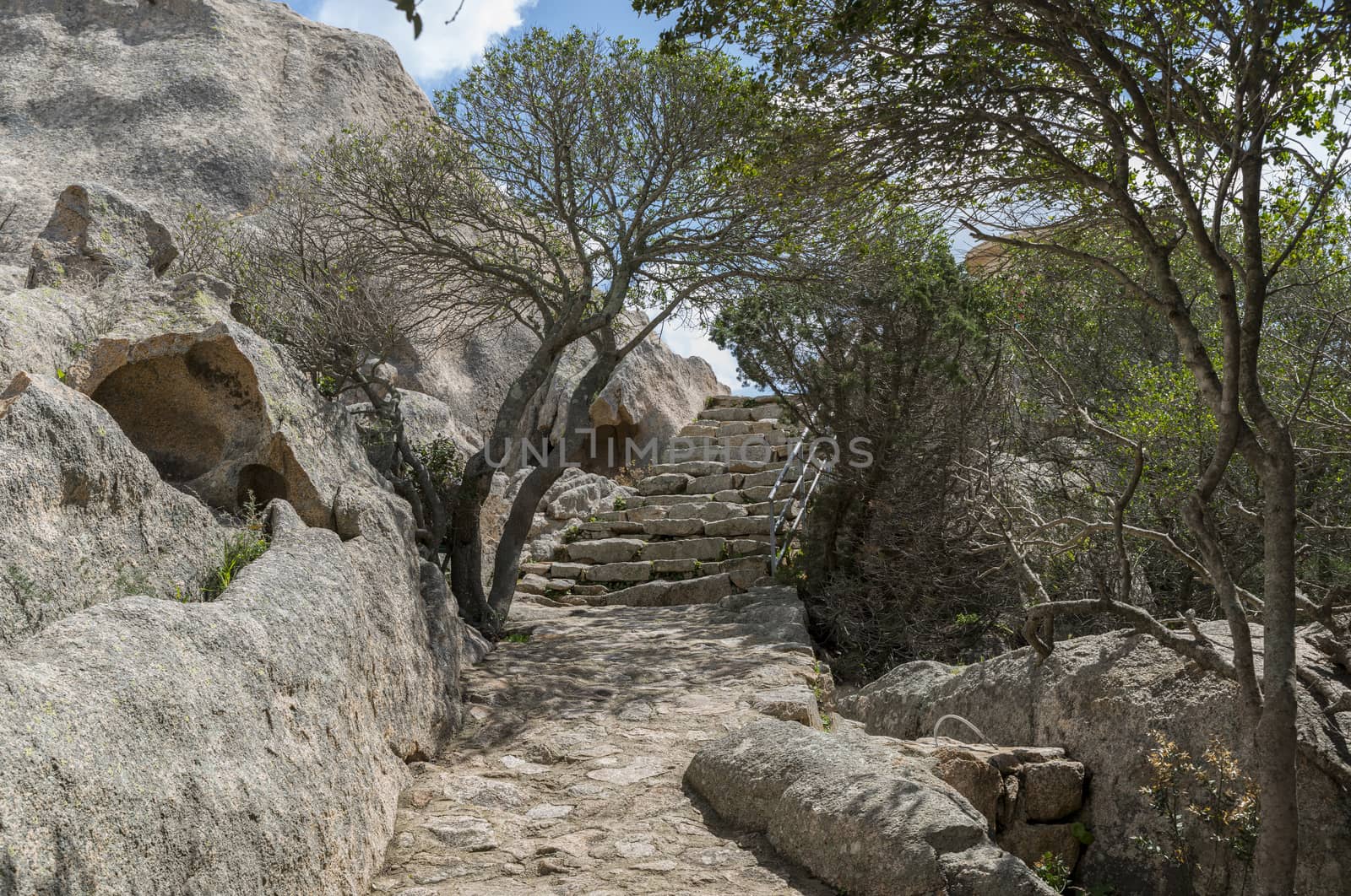 stairs from raw stones and rocks with tree and plants in garden sardinia near palua, the stiars lead to the bear rock, famous rock called capo dorso