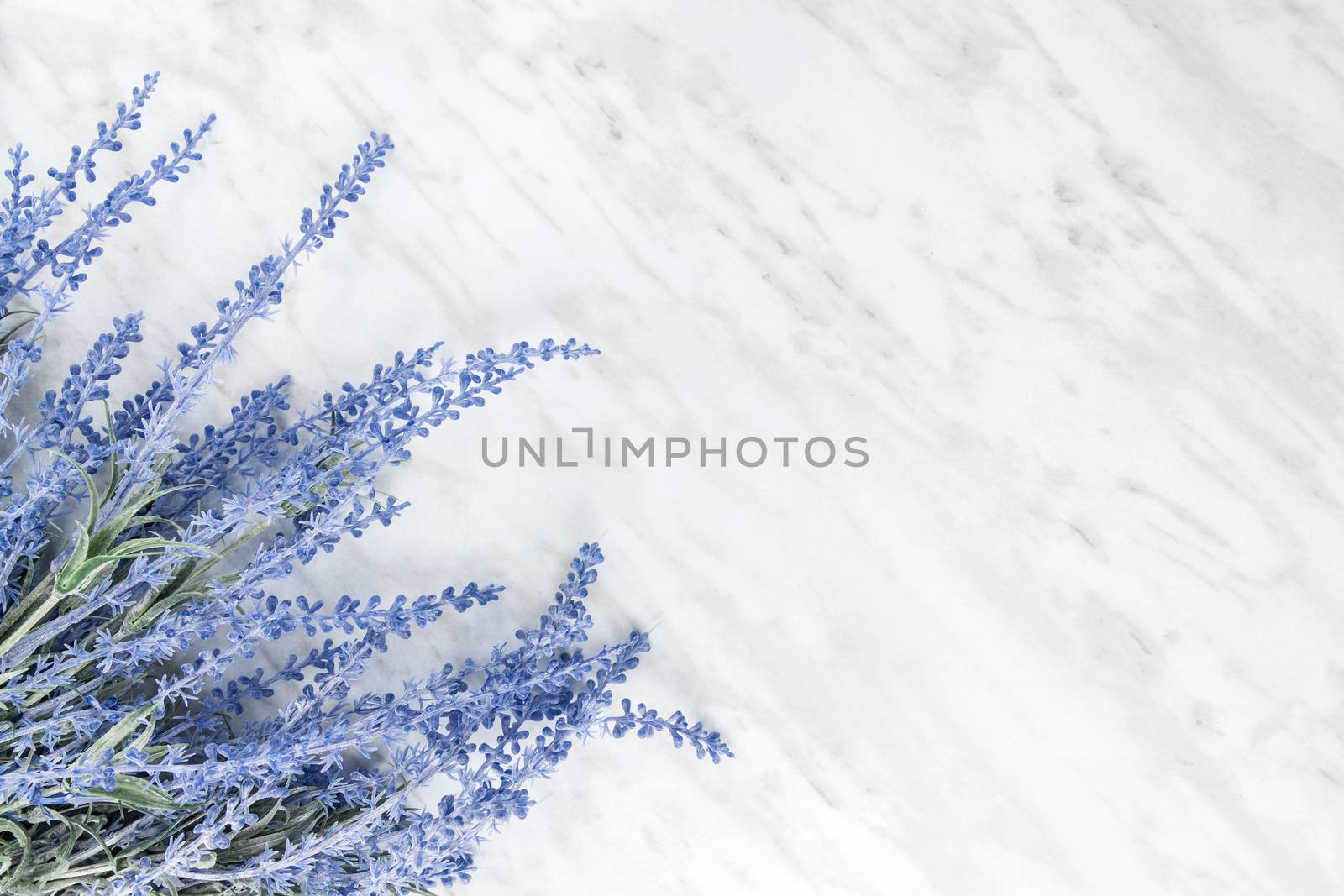 Blooming lavender on marble background with copy space on the right.