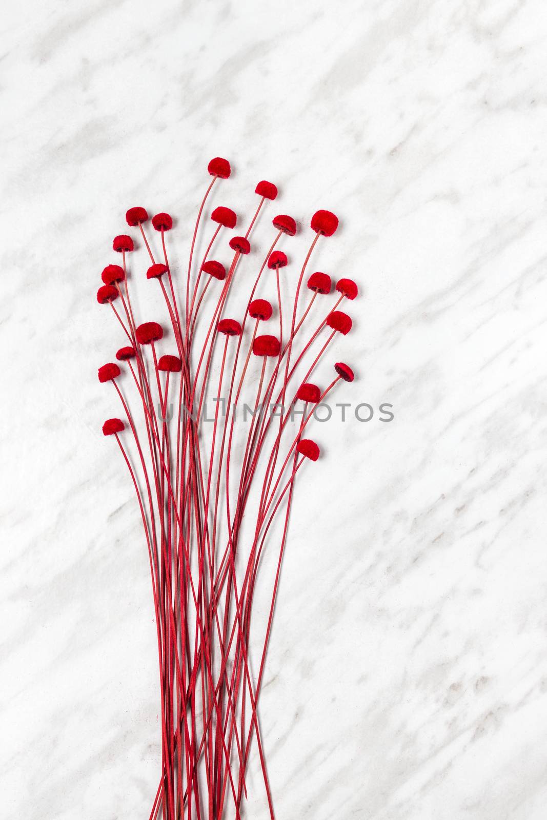 Decorative red flowers on light gray marble background, simple and beautiful decor.