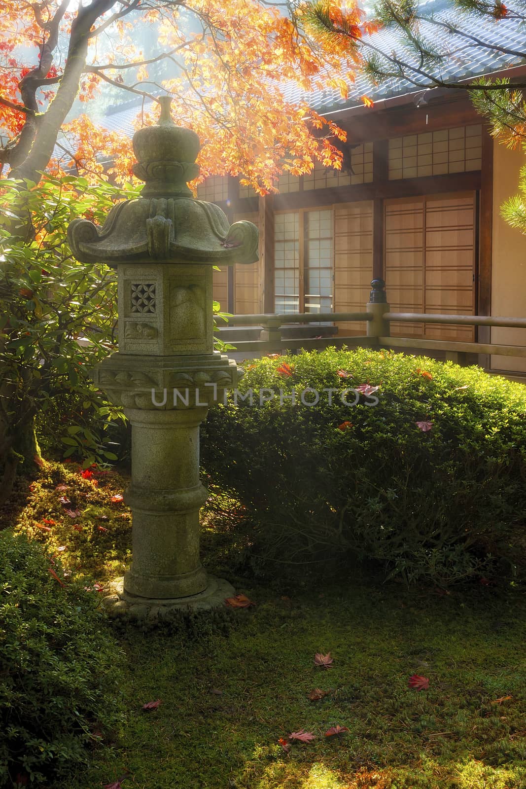 Sun beams over stone pagoda lantern by the pavilion at Japanese Garden during fall season