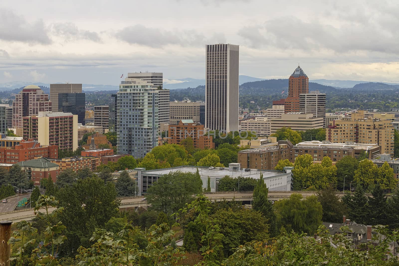 Downtown Portland Cityscape Nestled in Trees by Davidgn