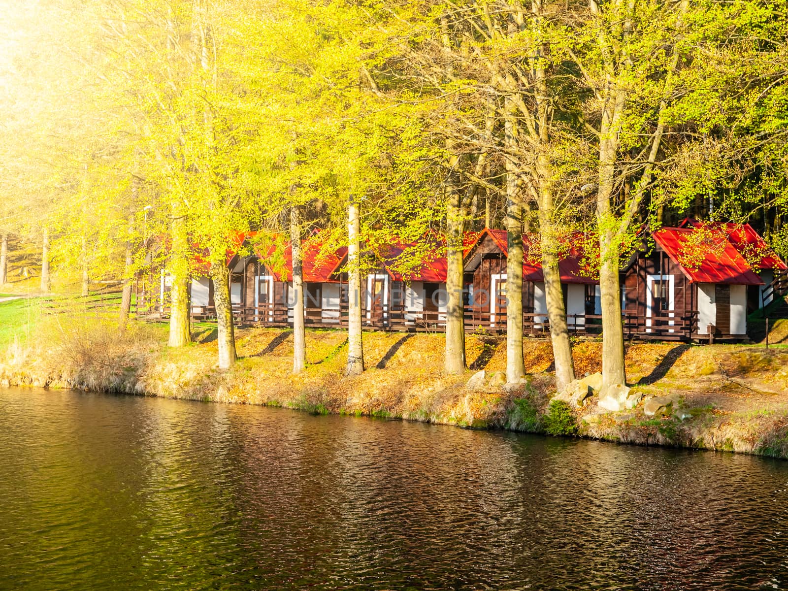 Small wooden forest cottages at the water.