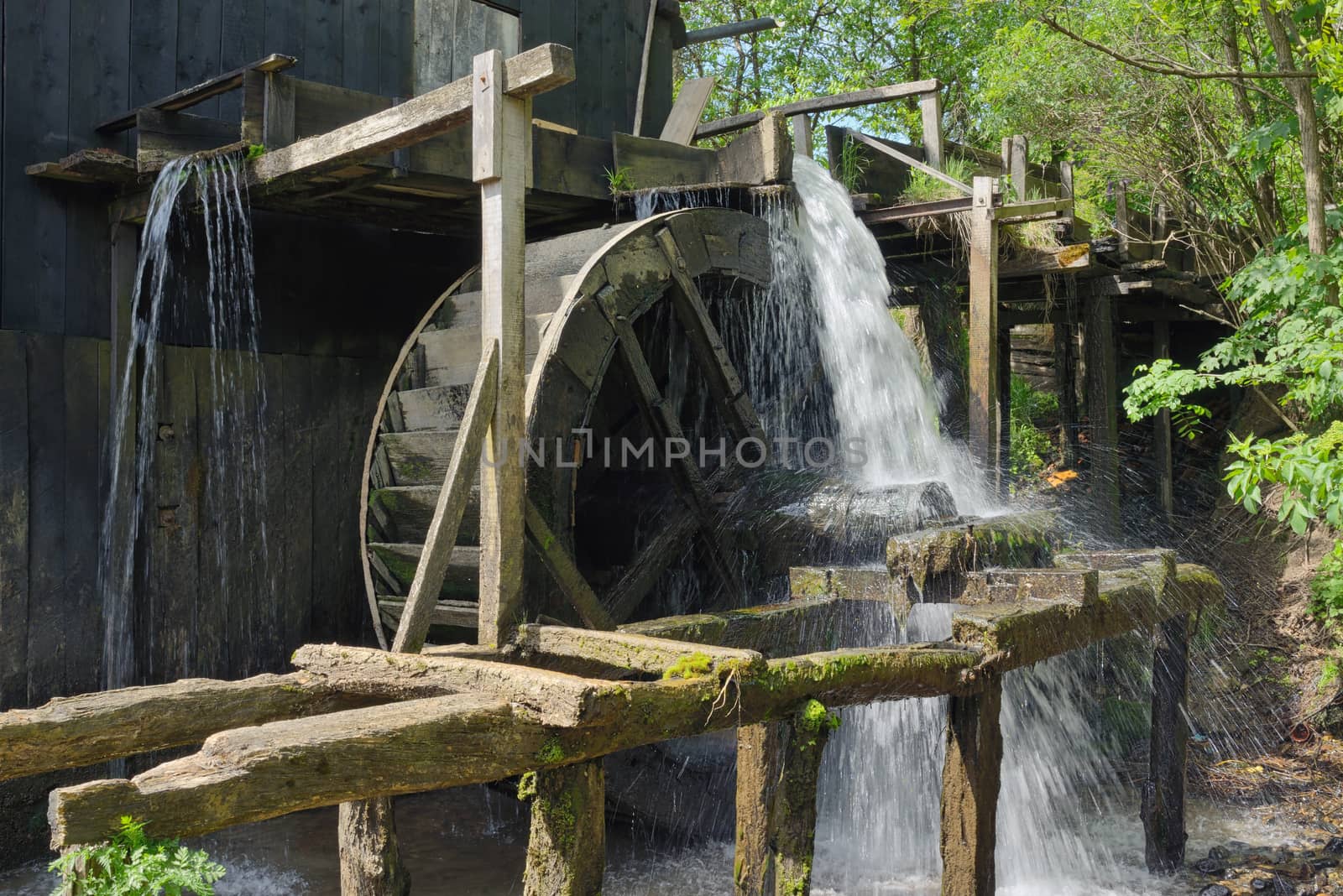 Spring at the Water Mill  by mady70