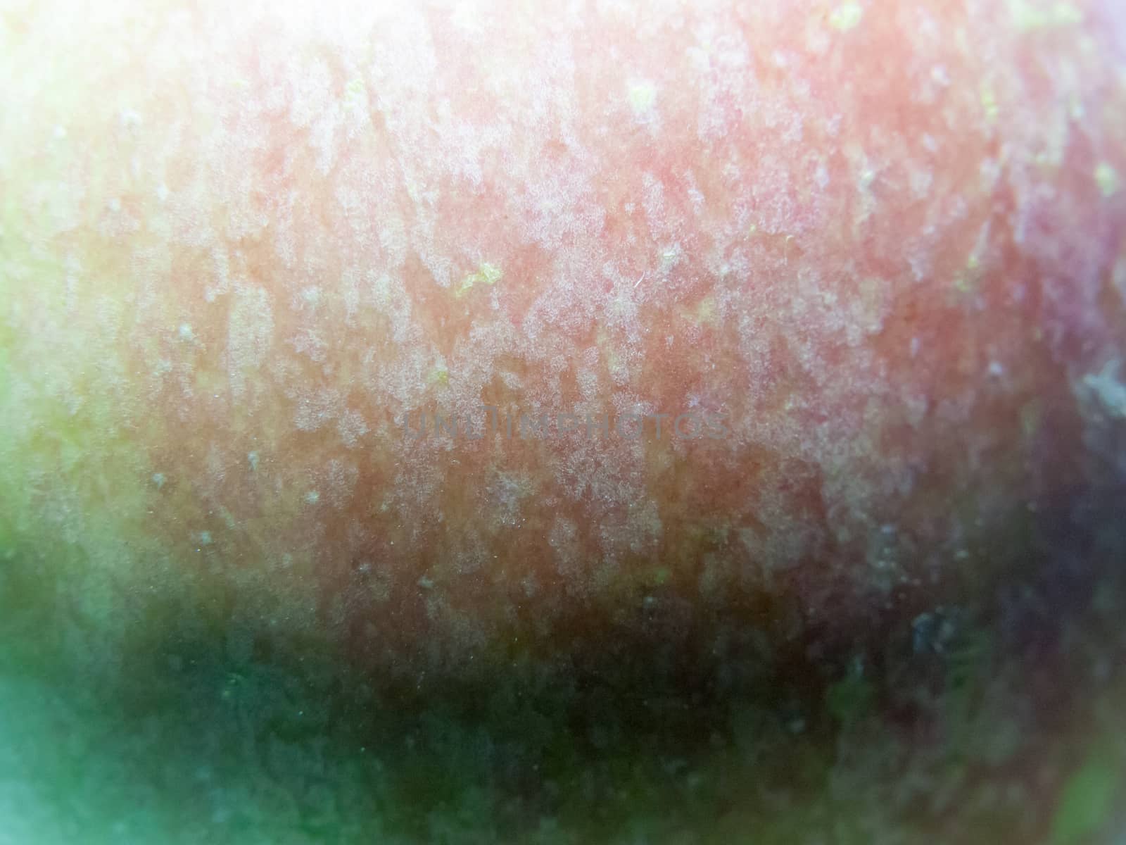 apple texture close up green and red macro; Essex; UK