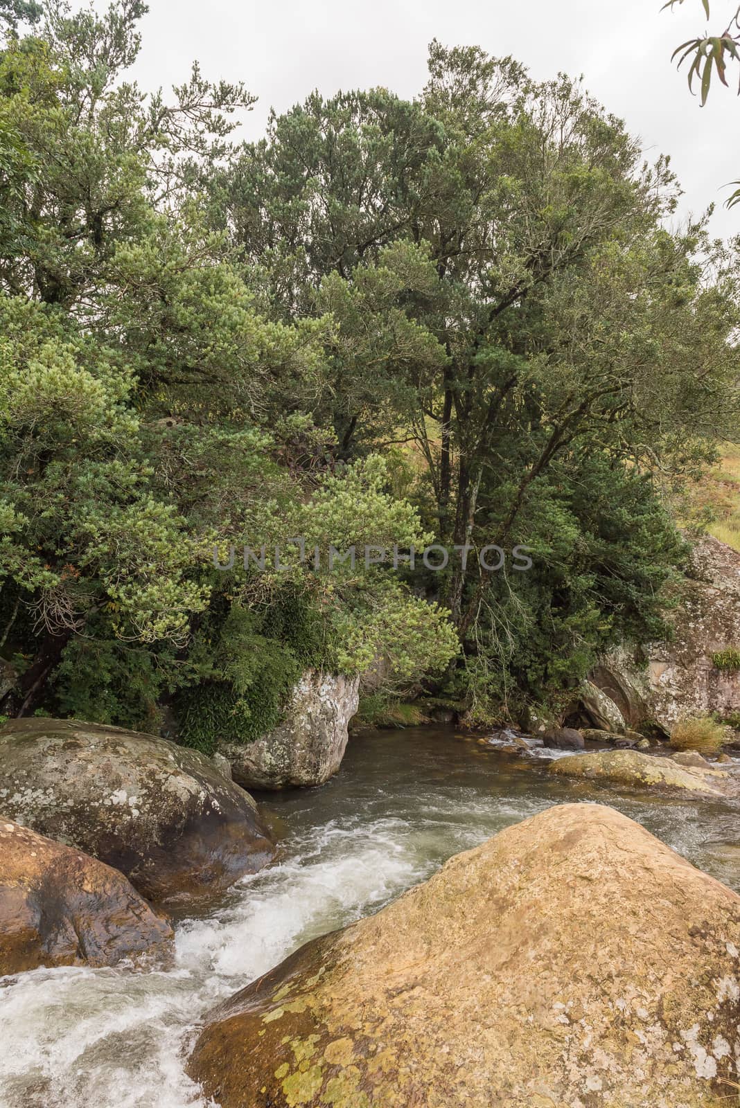 The Sterkspruit (strong stream) above the Sterkspruit waterfall near Monks Cowl in the Kwazulu-Natal Drakensberg