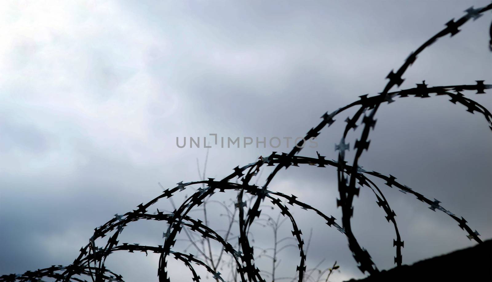 Silhouette of barbed wire by andre_dechapelle