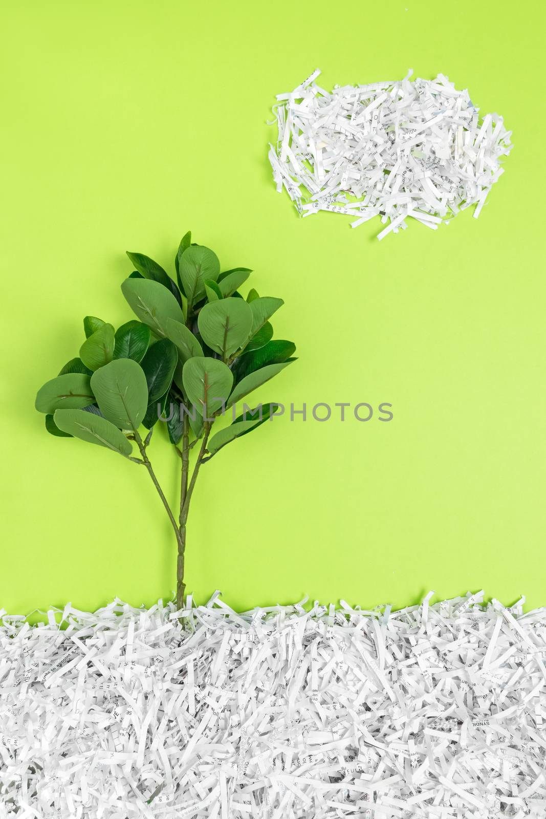 Green tree growing in recycled shredded paper by anikasalsera