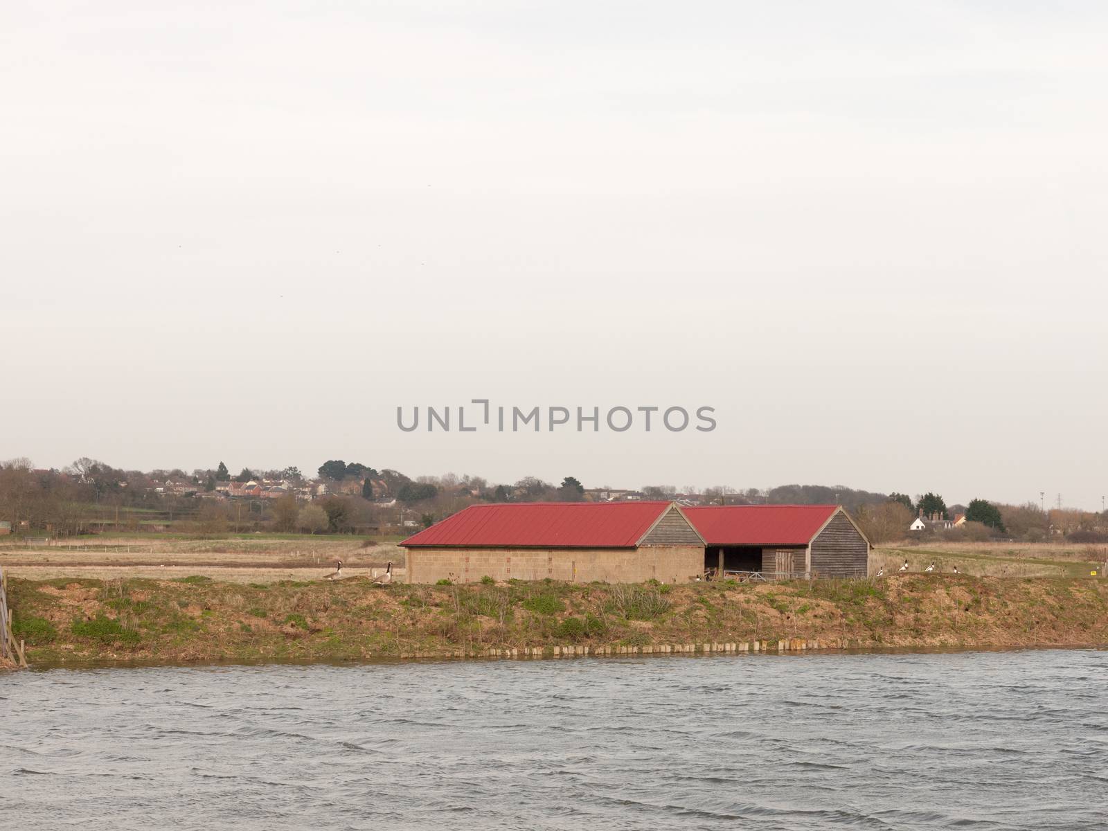 river stream water nature background with red farm roof houses by callumrc