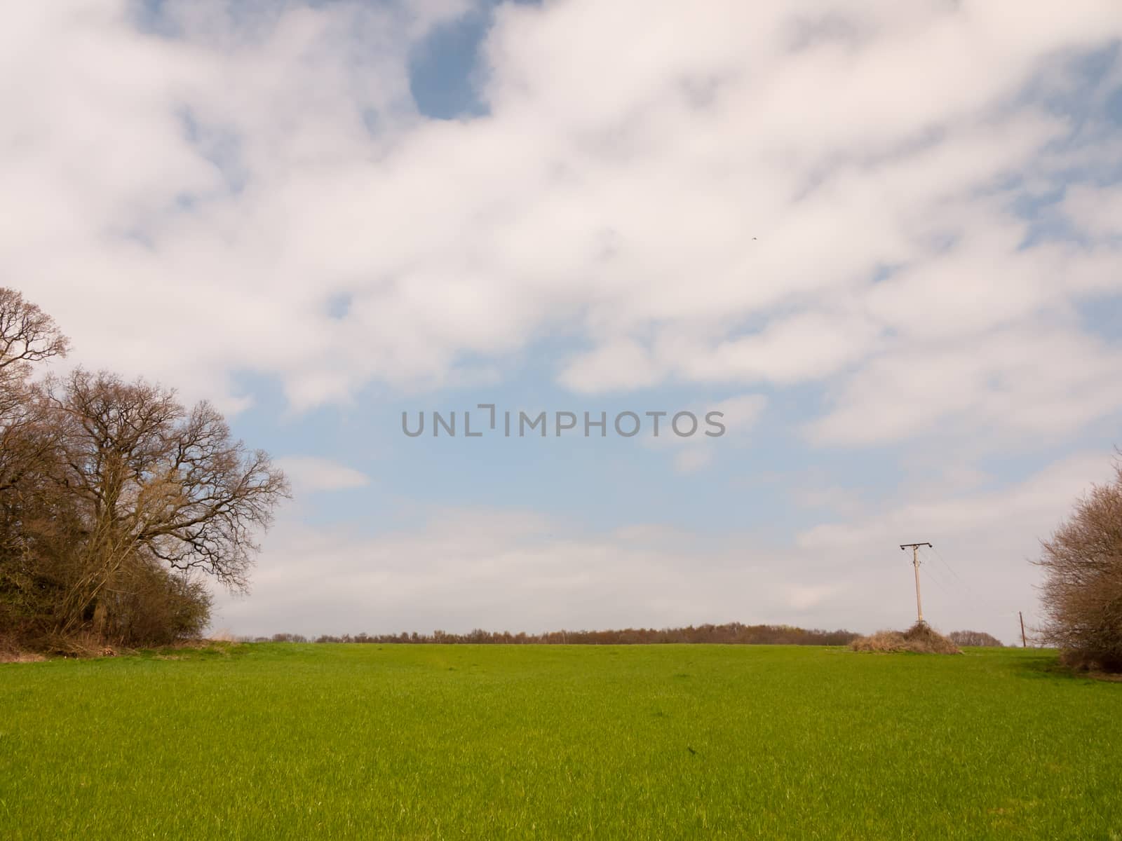 open green spring field background nature, no people. blue and cloud skies; essex; england; uk
