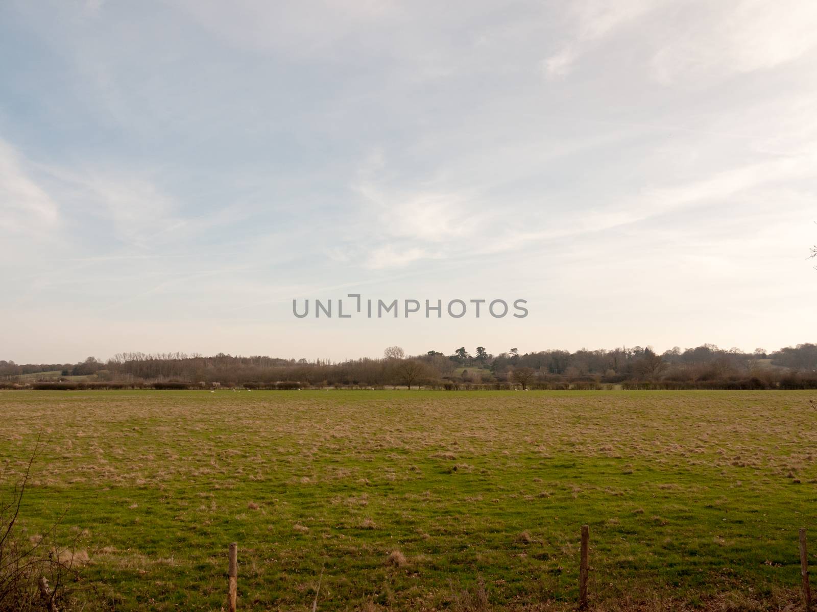 large open grassland field farm pasture plain spring clear sky background; essex; england; uk