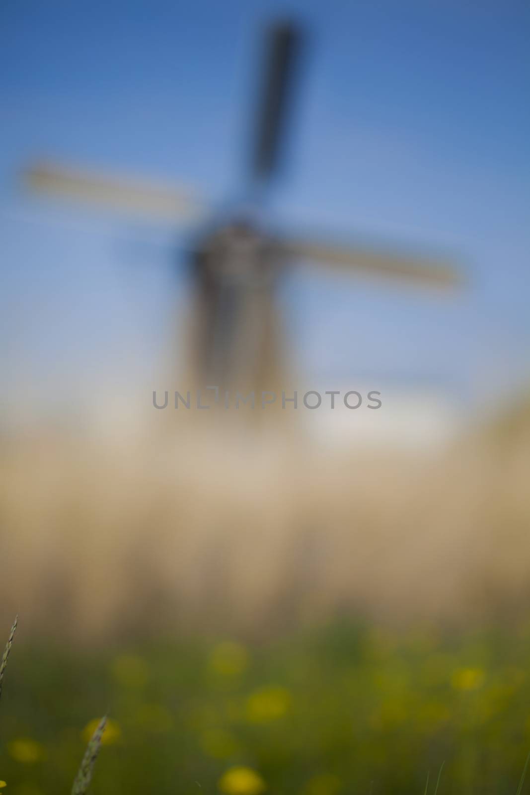 Dutch windmill in Kinderdijk