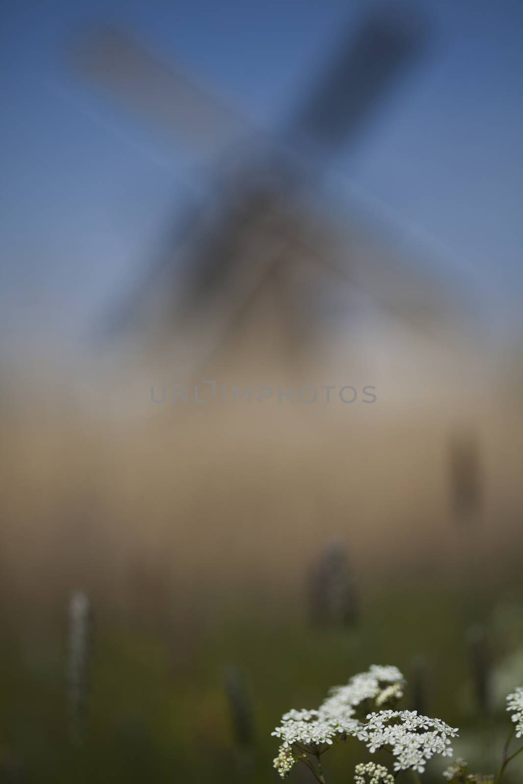 Windmill, Kinderdijk in netherlands by JanPietruszka