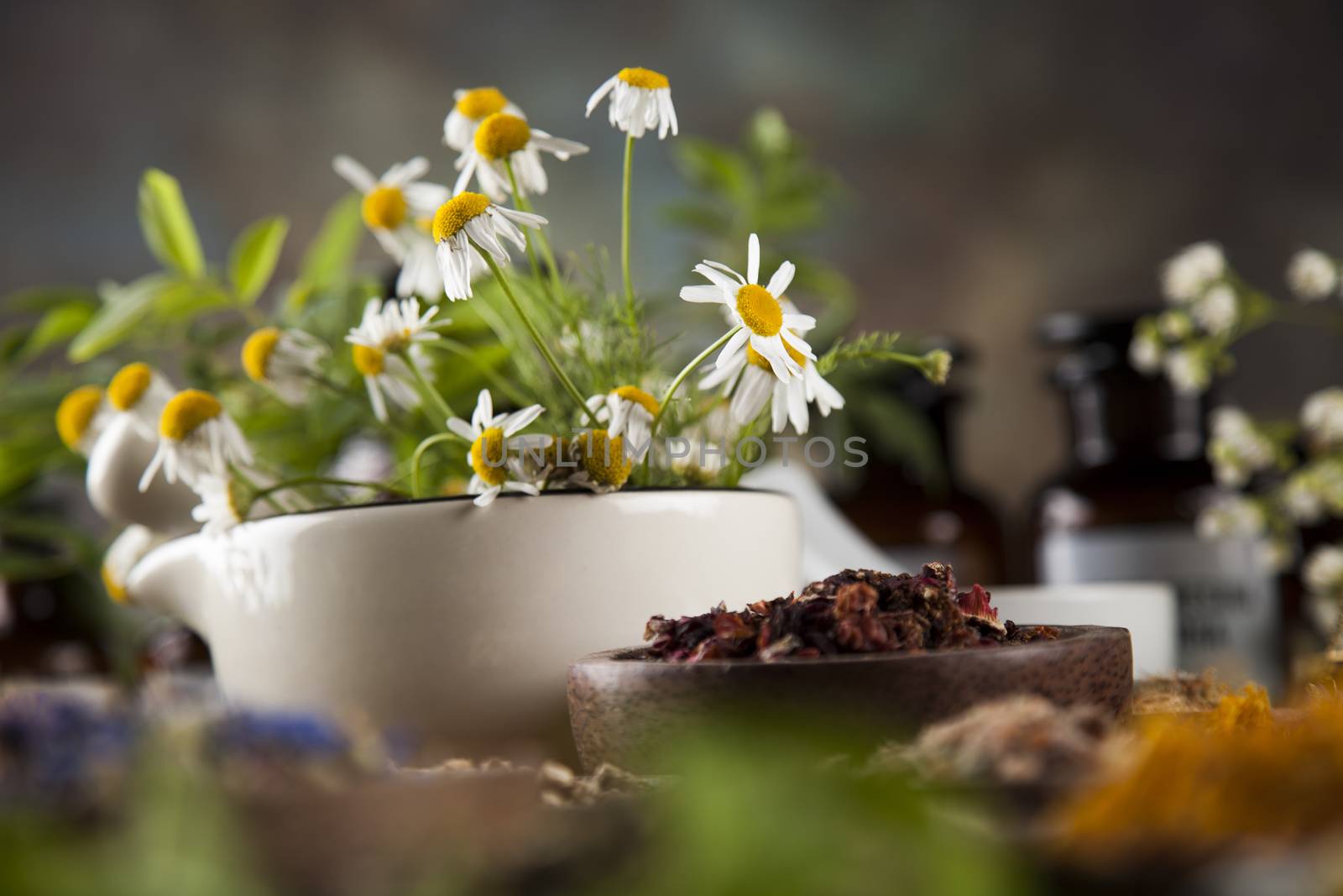 Alternative medicine, dried herbs and mortar on wooden desk back by JanPietruszka