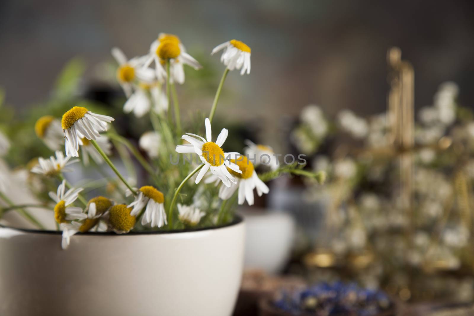 Healing herbs on wooden table, mortar and herbal medicine