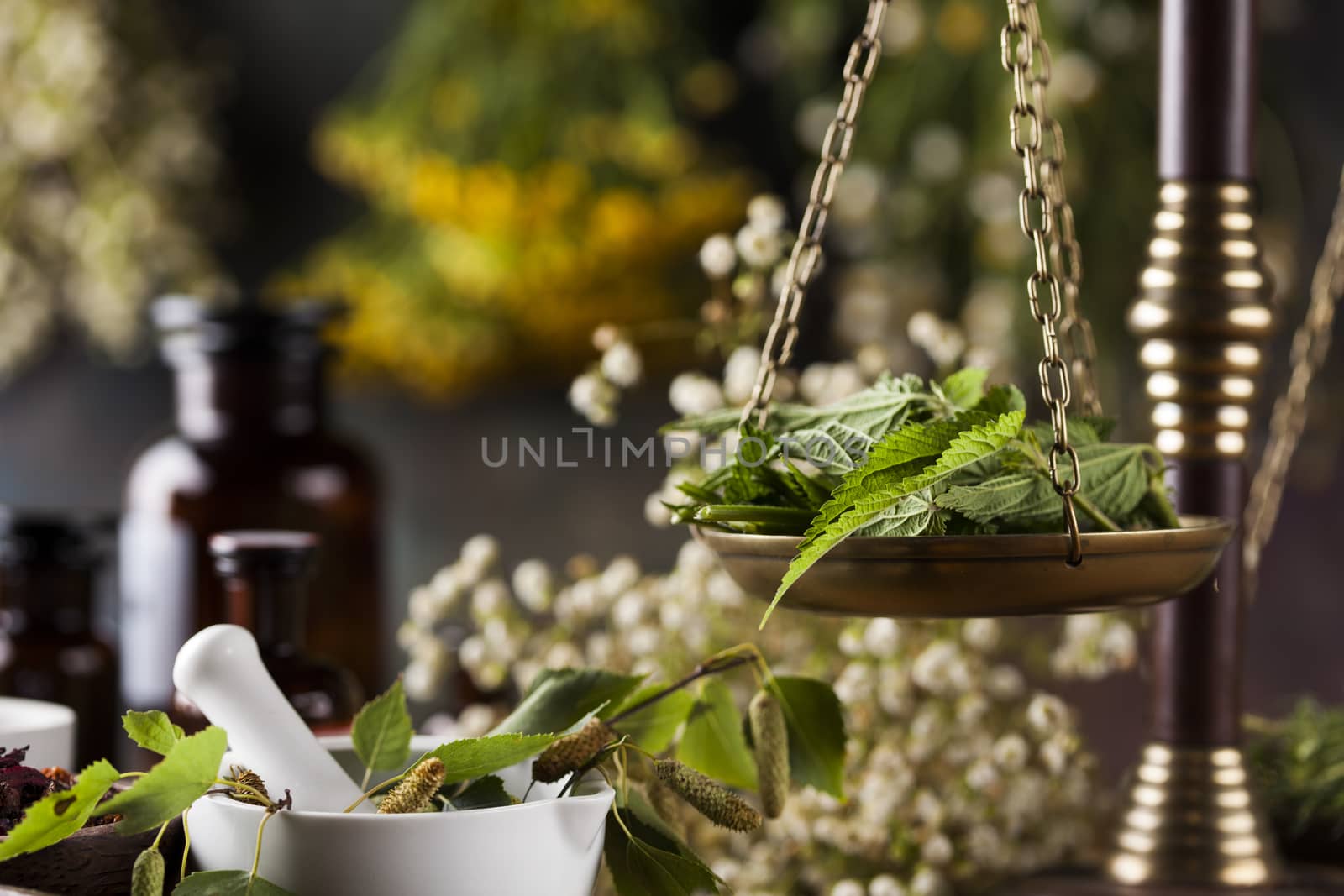 Fresh medicinal, healing herbs on wooden  by JanPietruszka