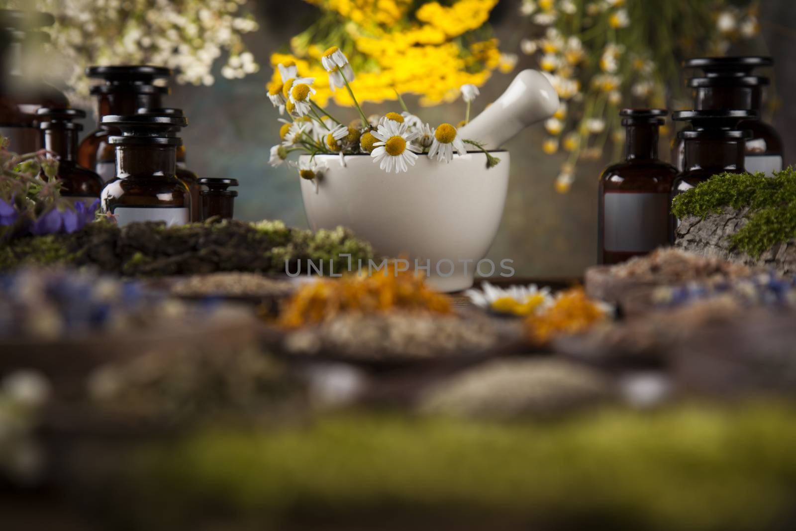 Alternative medicine, dried herbs and mortar on wooden desk back by JanPietruszka