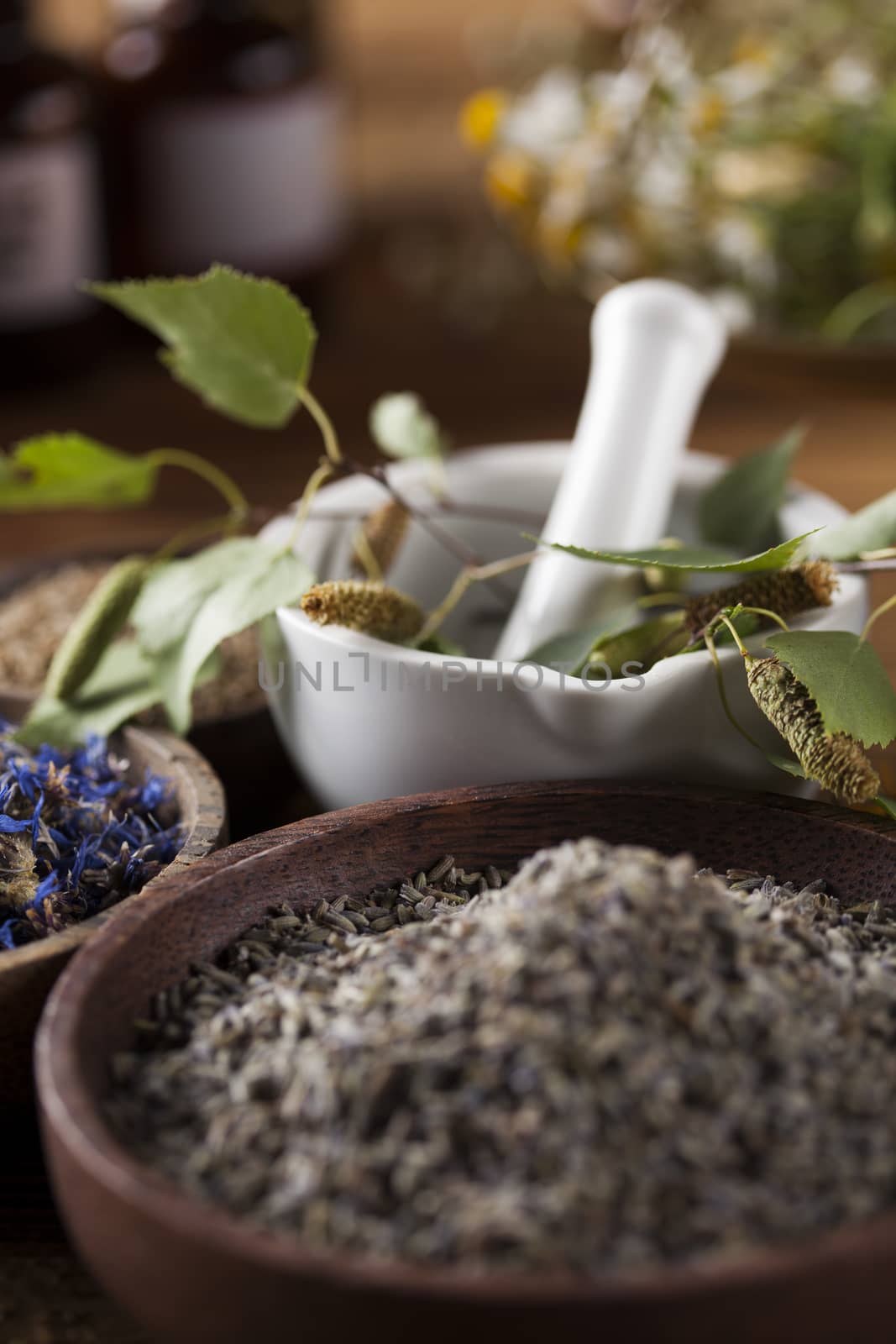 Fresh medicinal, healing herbs on wooden