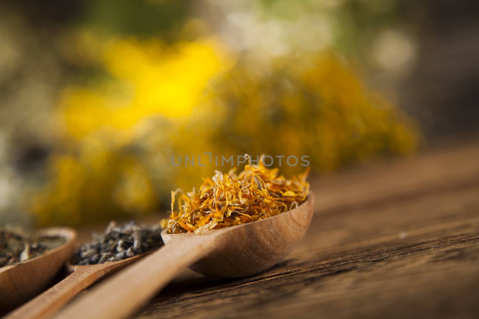 Natural medicine on wooden table background by JanPietruszka