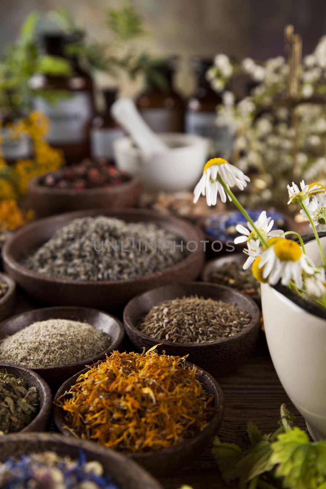 Alternative medicine, dried herbs and mortar on wooden desk back by JanPietruszka