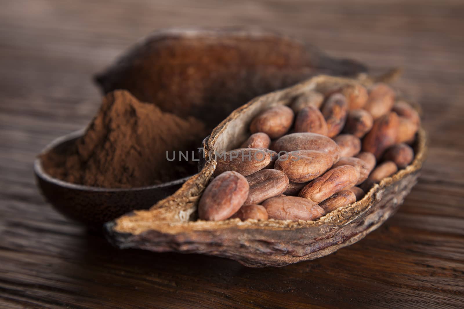 Cocoa beans in the dry cocoa pod fruit on wooden background