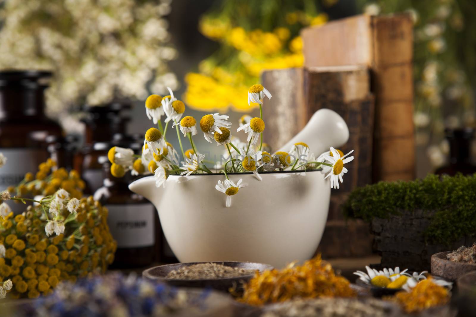 Alternative medicine, dried herbs and mortar on wooden desk back by JanPietruszka