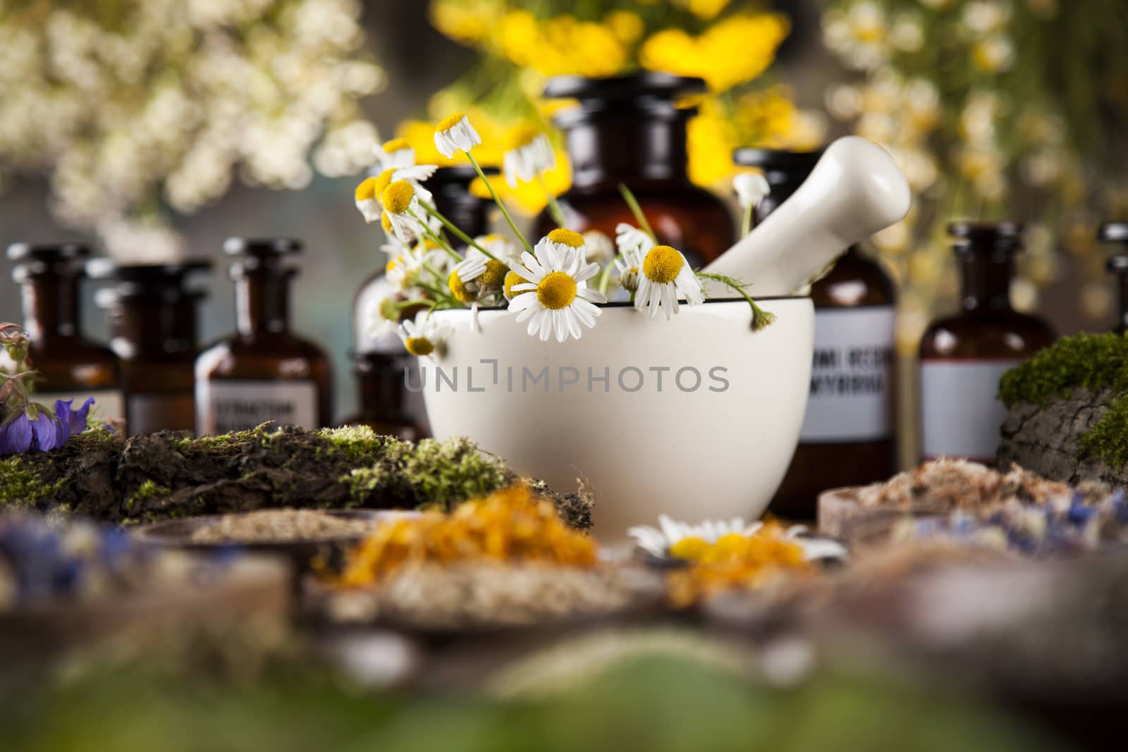 Herbs, berries and flowers with mortar, on wooden table background