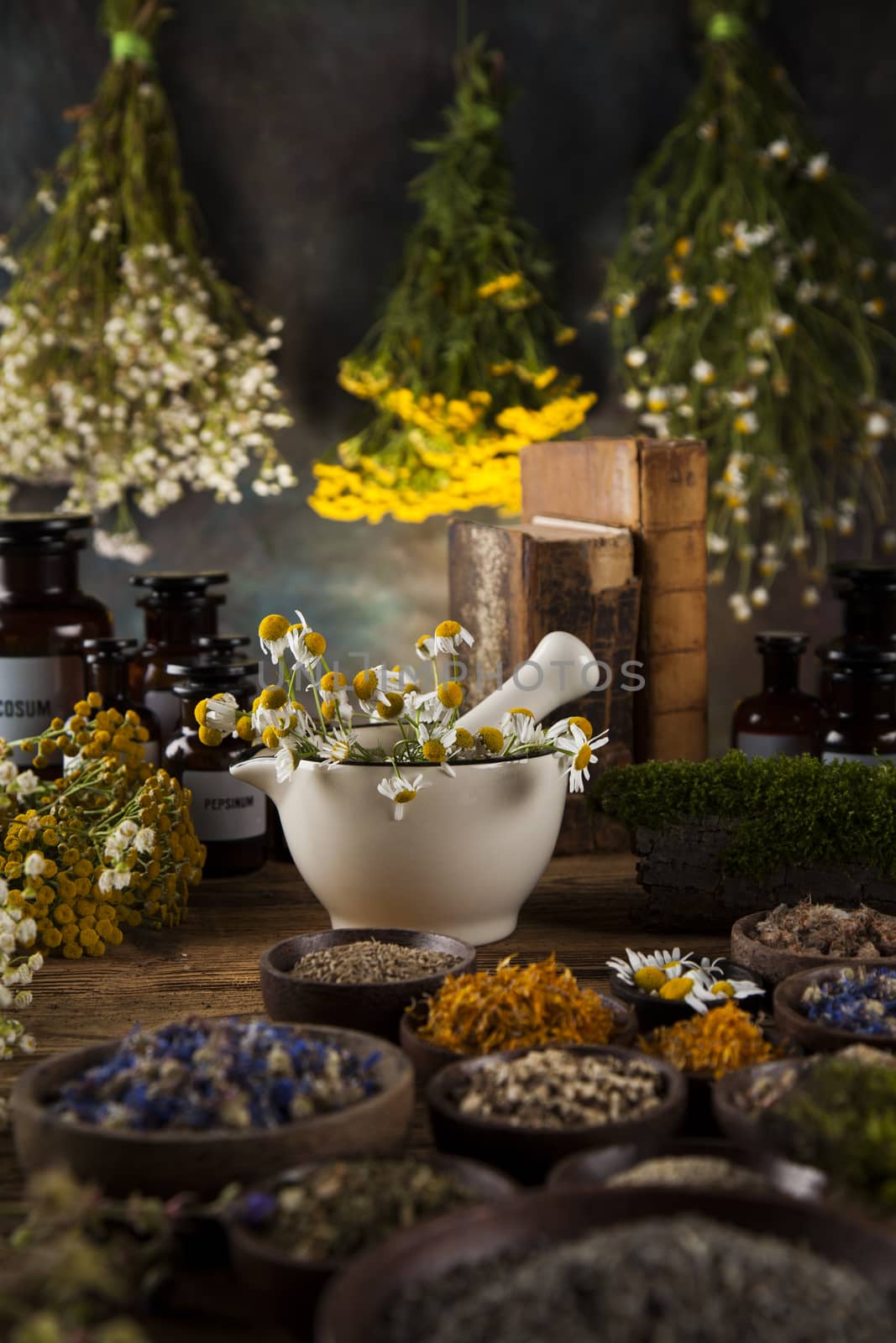 Herbal medicine on wooden desk background by JanPietruszka