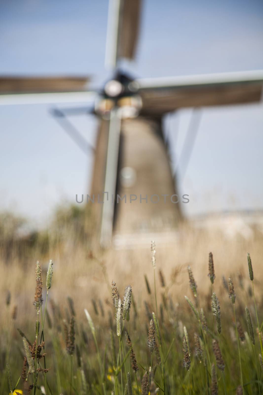 Traditional old windmills in Netherlands