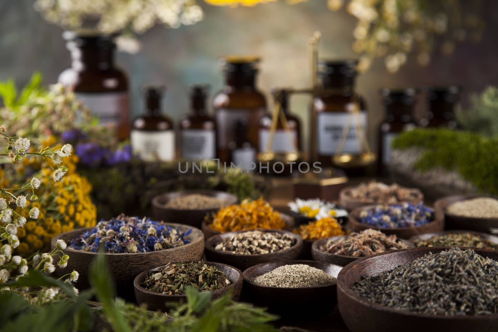 Fresh medicinal, healing herbs on wooden by JanPietruszka