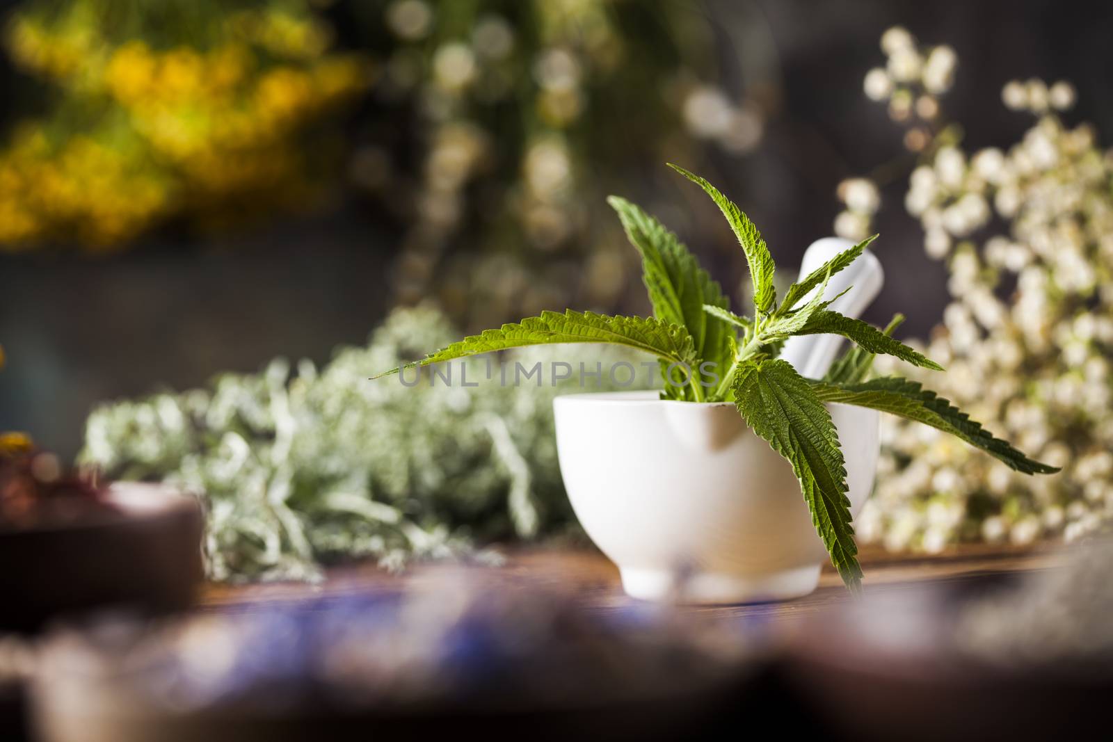 Fresh medicinal, healing herbs on wooden  by JanPietruszka