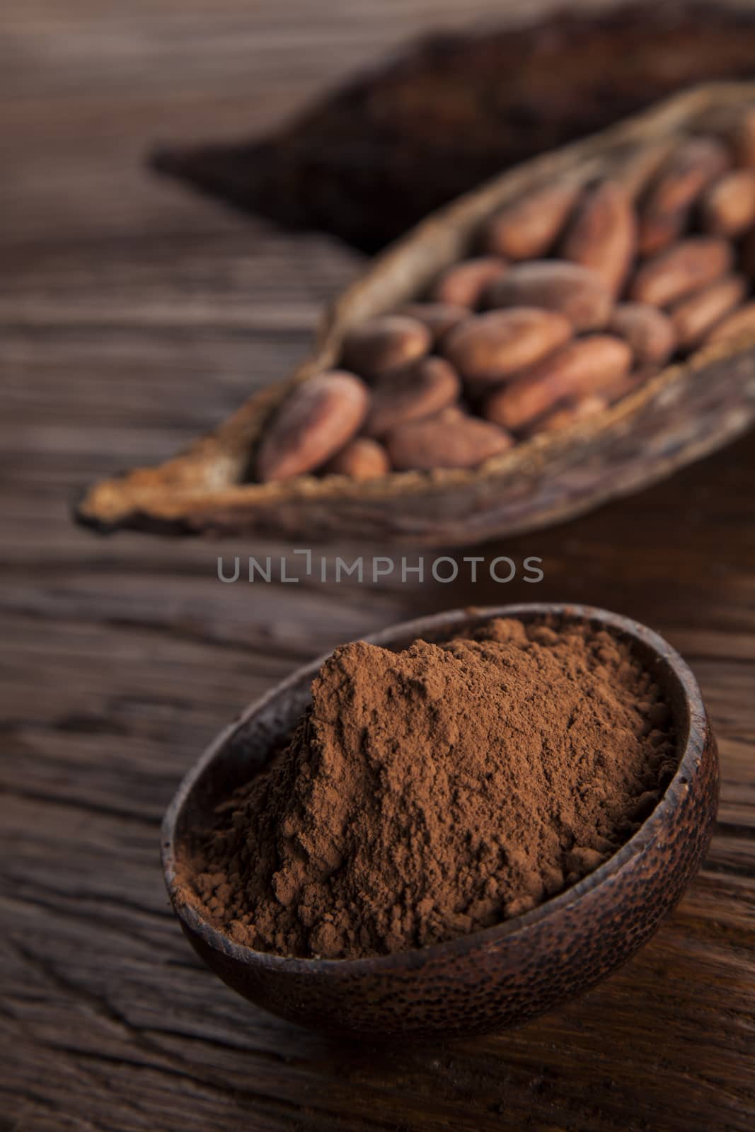 Cocoa beans in the dry cocoa pod fruit on wooden background