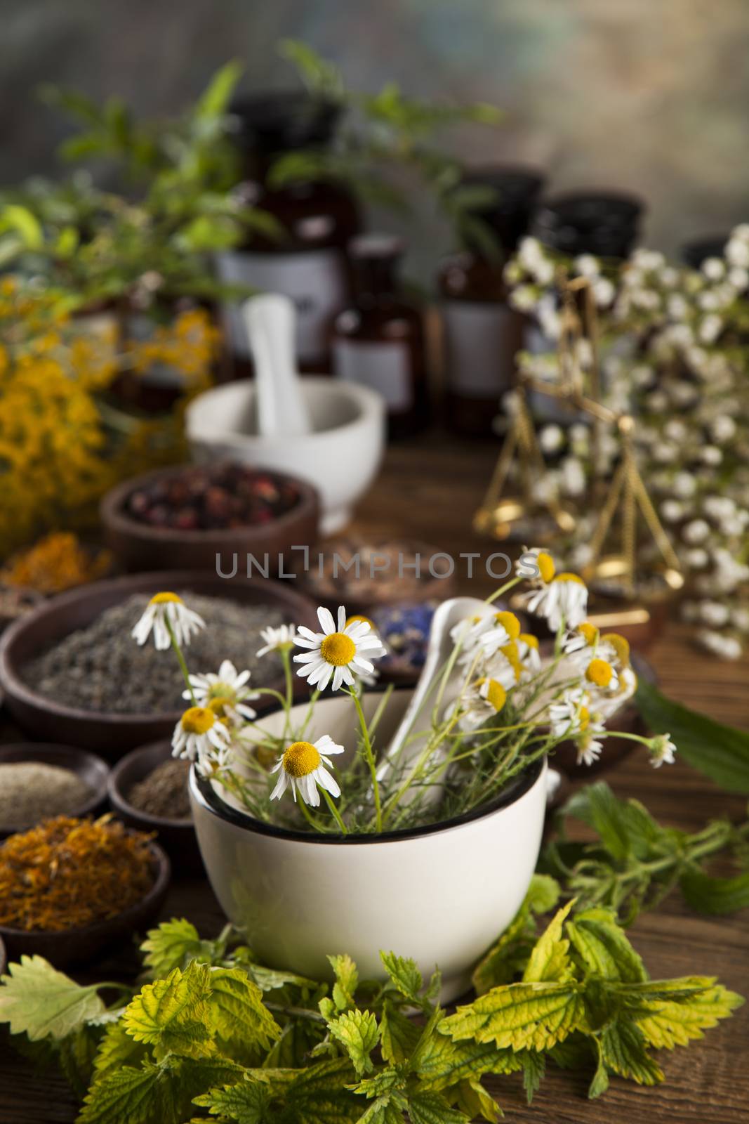 Herbs medicine and vintage wooden desk background by JanPietruszka