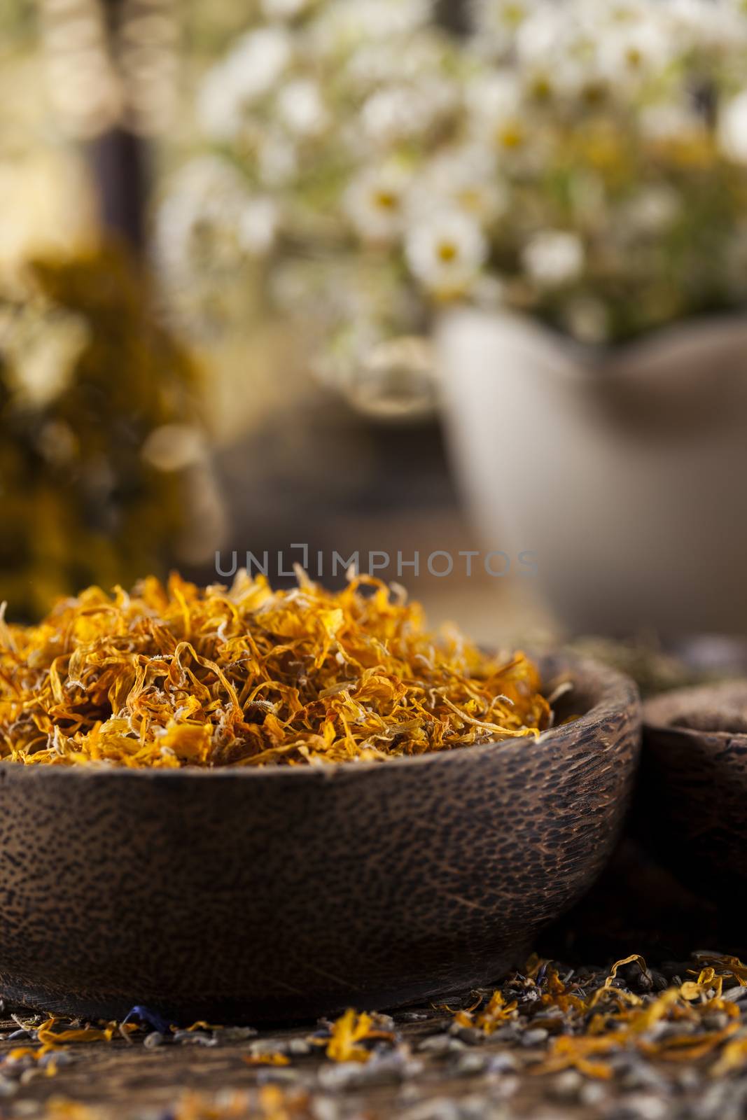 Herbs, berries and flowers with mortar, on wooden table backgrou by JanPietruszka