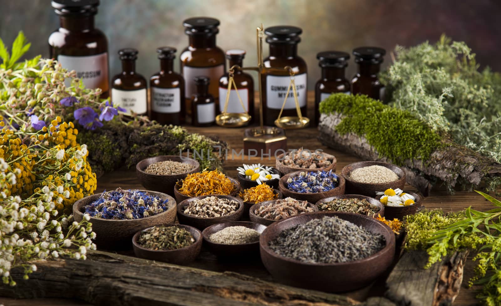 Fresh medicinal, healing herbs on wooden by JanPietruszka