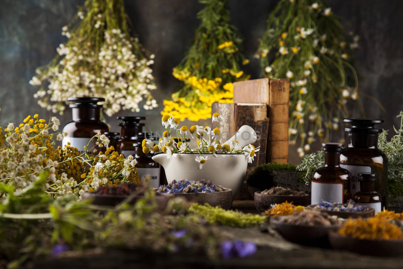 Fresh medicinal, healing herbs on wooden