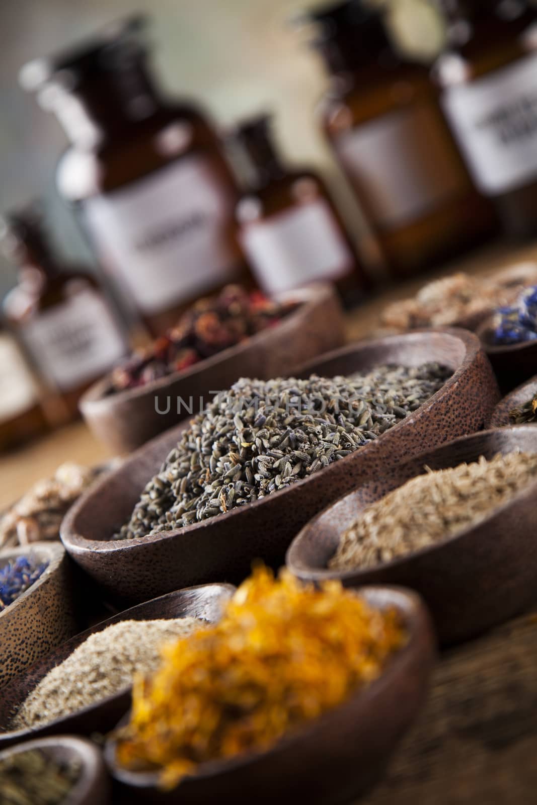 Fresh medicinal, healing herbs on wooden