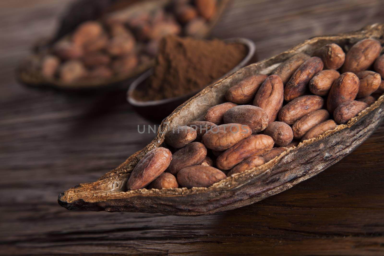 Cocoa beans in the dry cocoa pod fruit on wooden background by JanPietruszka