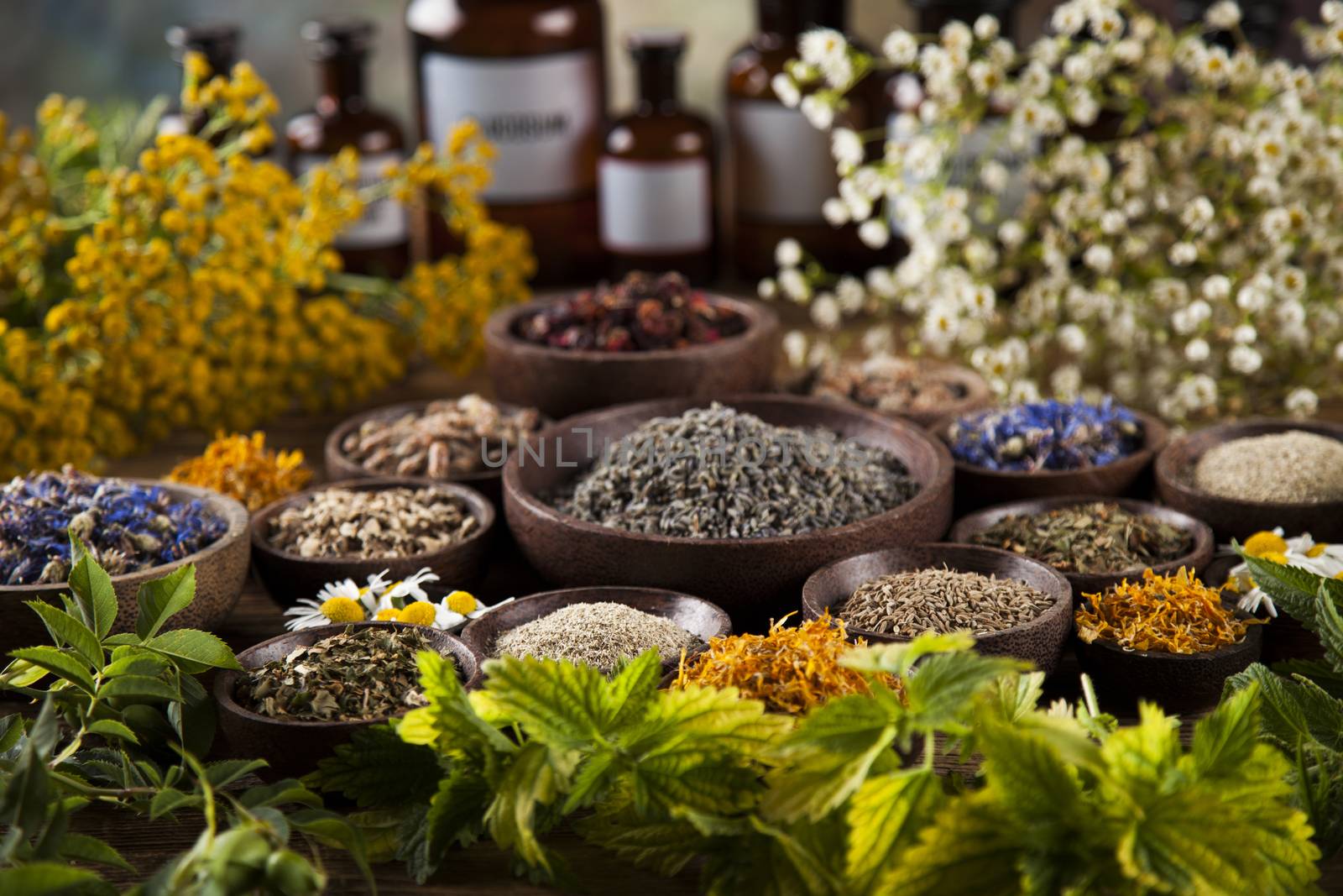 Herbal medicine on wooden desk background