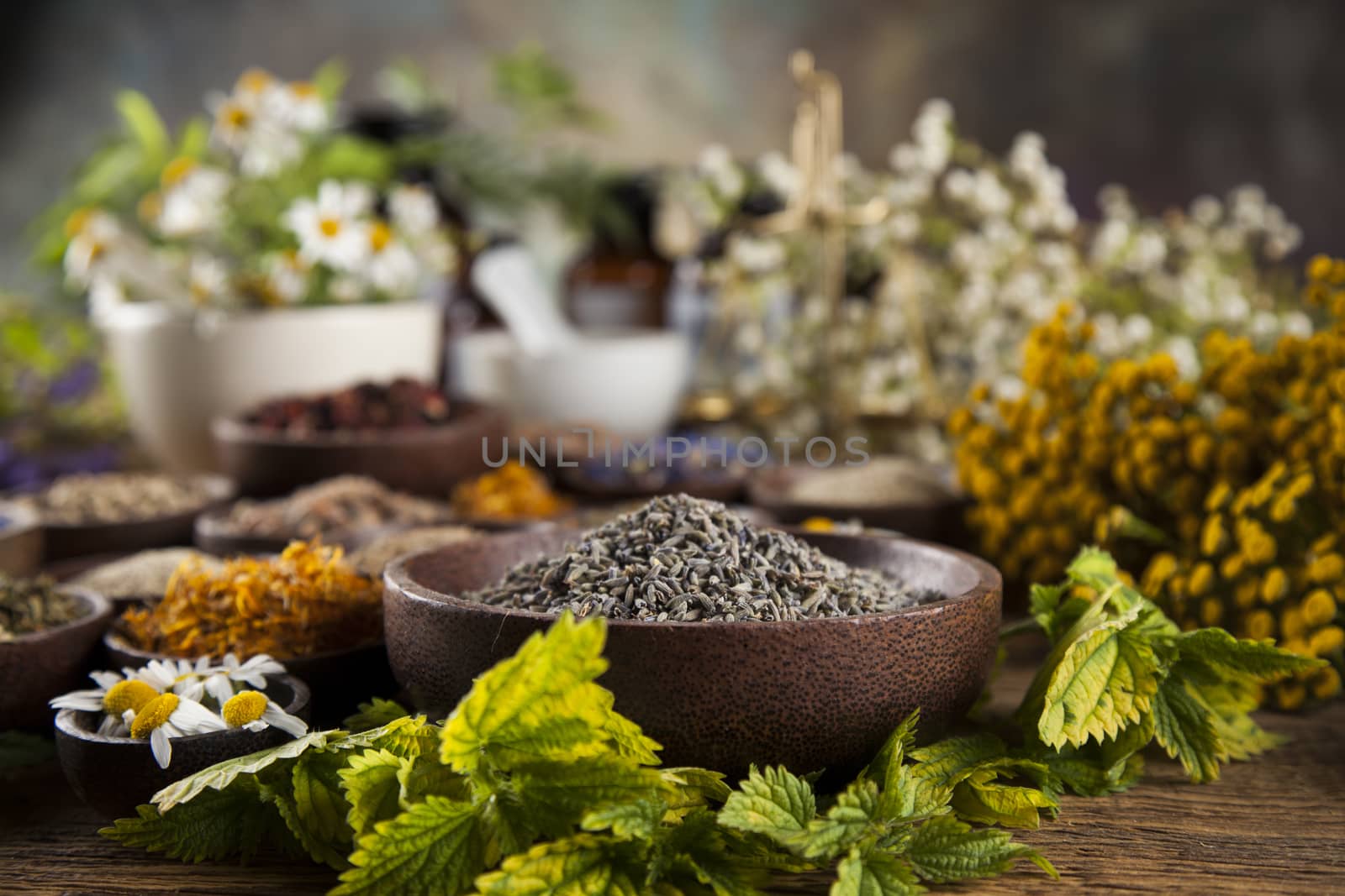 Healing herbs on wooden table, mortar and herbal medicine