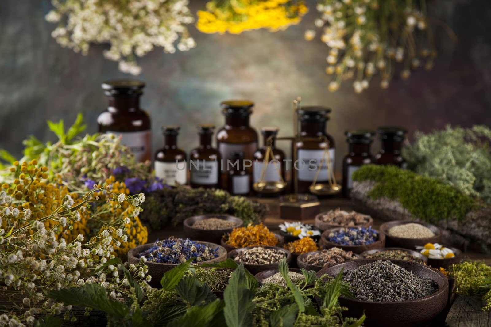 Fresh medicinal, healing herbs on wooden by JanPietruszka