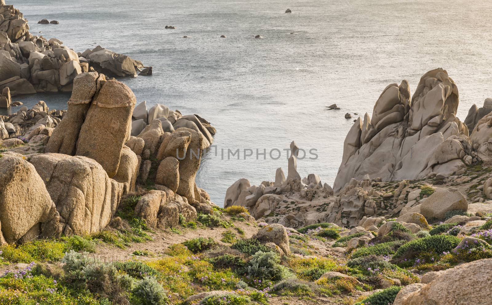 capo testa teresa di gallura , with rocks and blue sea on the italian island of sardinia