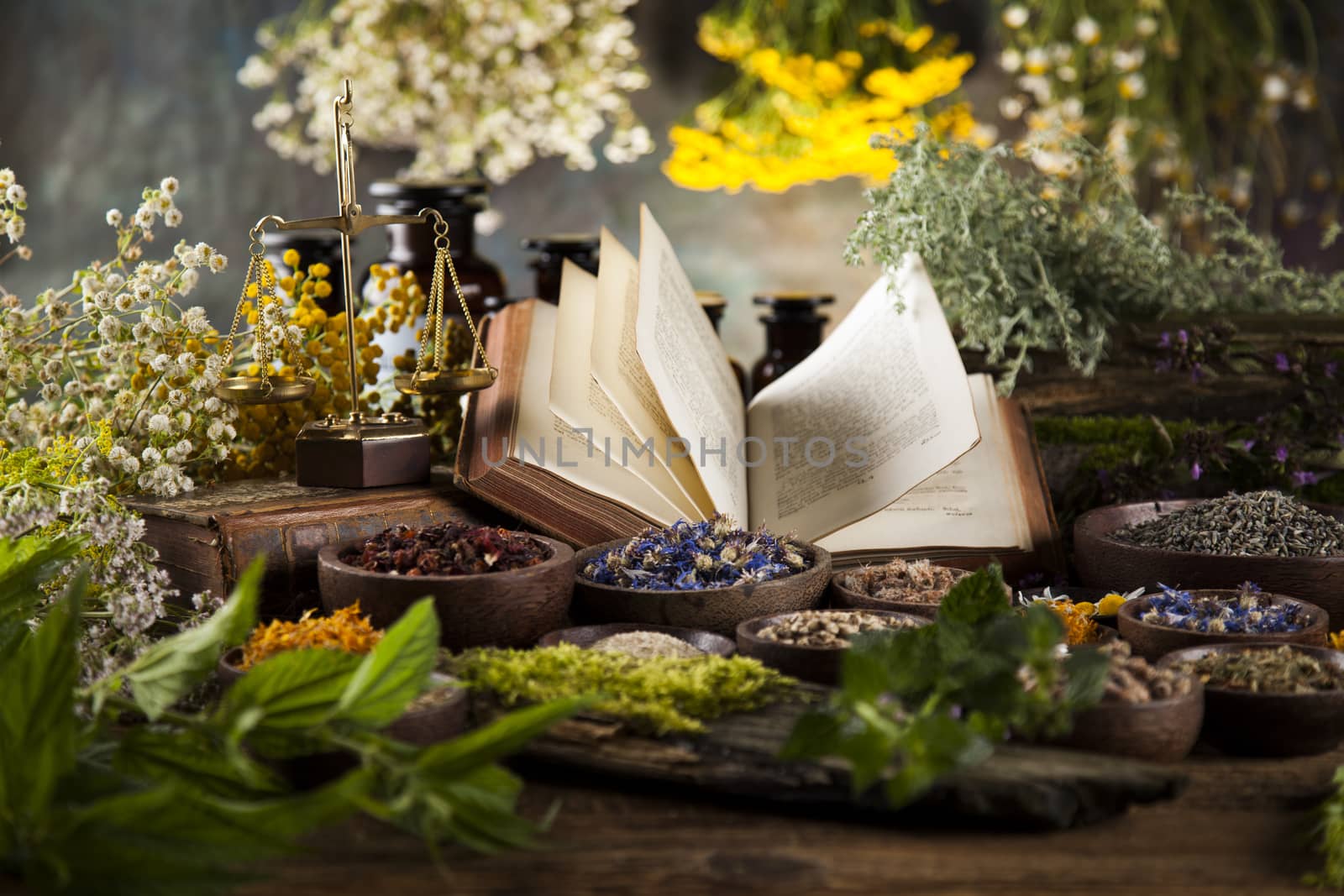 Herbal medicine and book on wooden table background by JanPietruszka