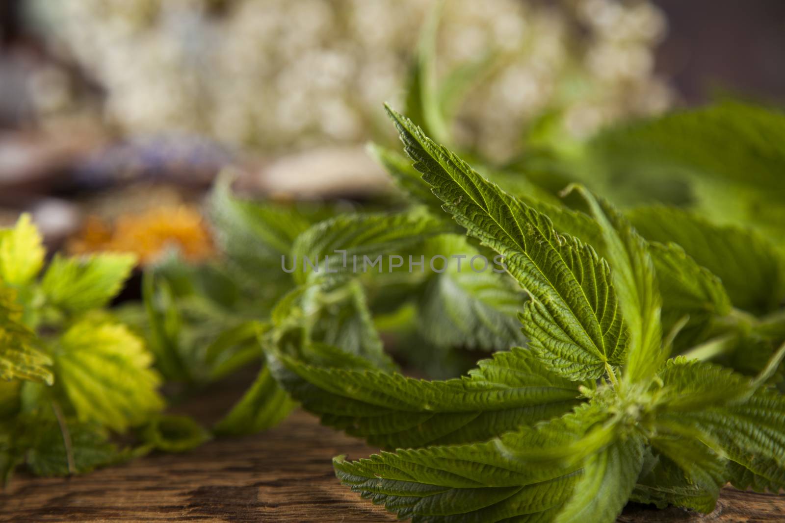 Herbs medicine and vintage wooden desk background by JanPietruszka