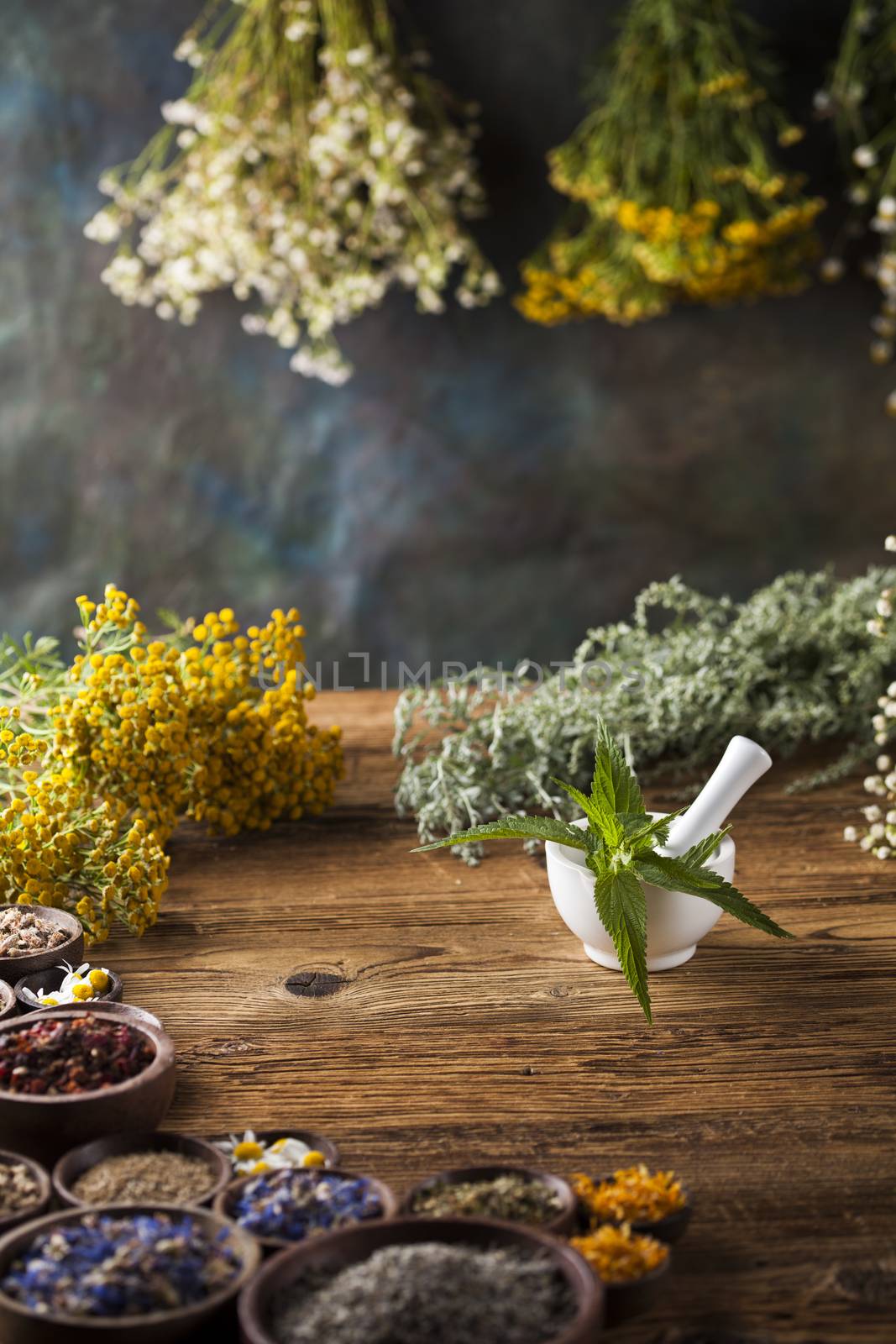 Fresh medicinal, healing herbs on wooden  by JanPietruszka