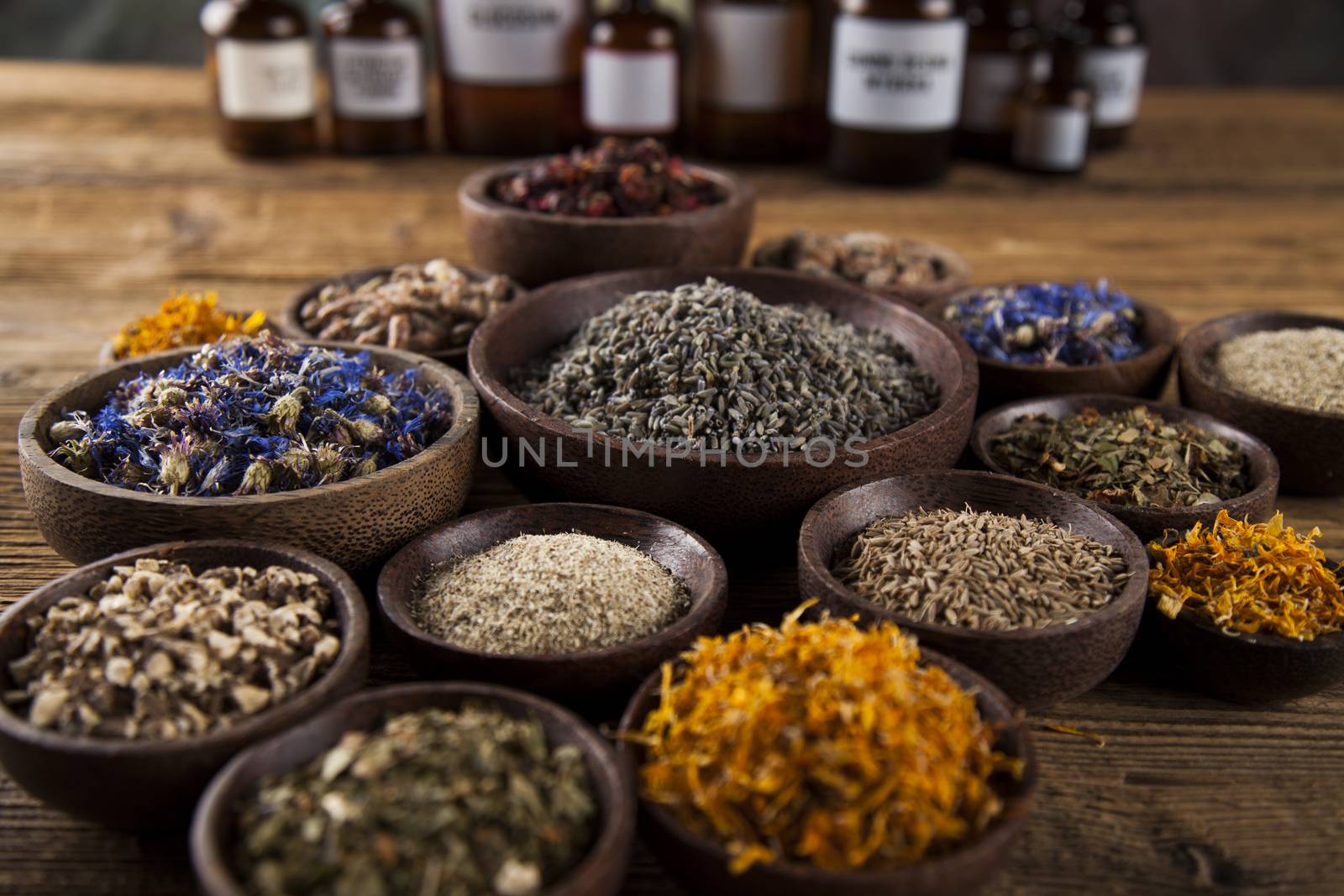 Fresh medicinal, healing herbs on wooden