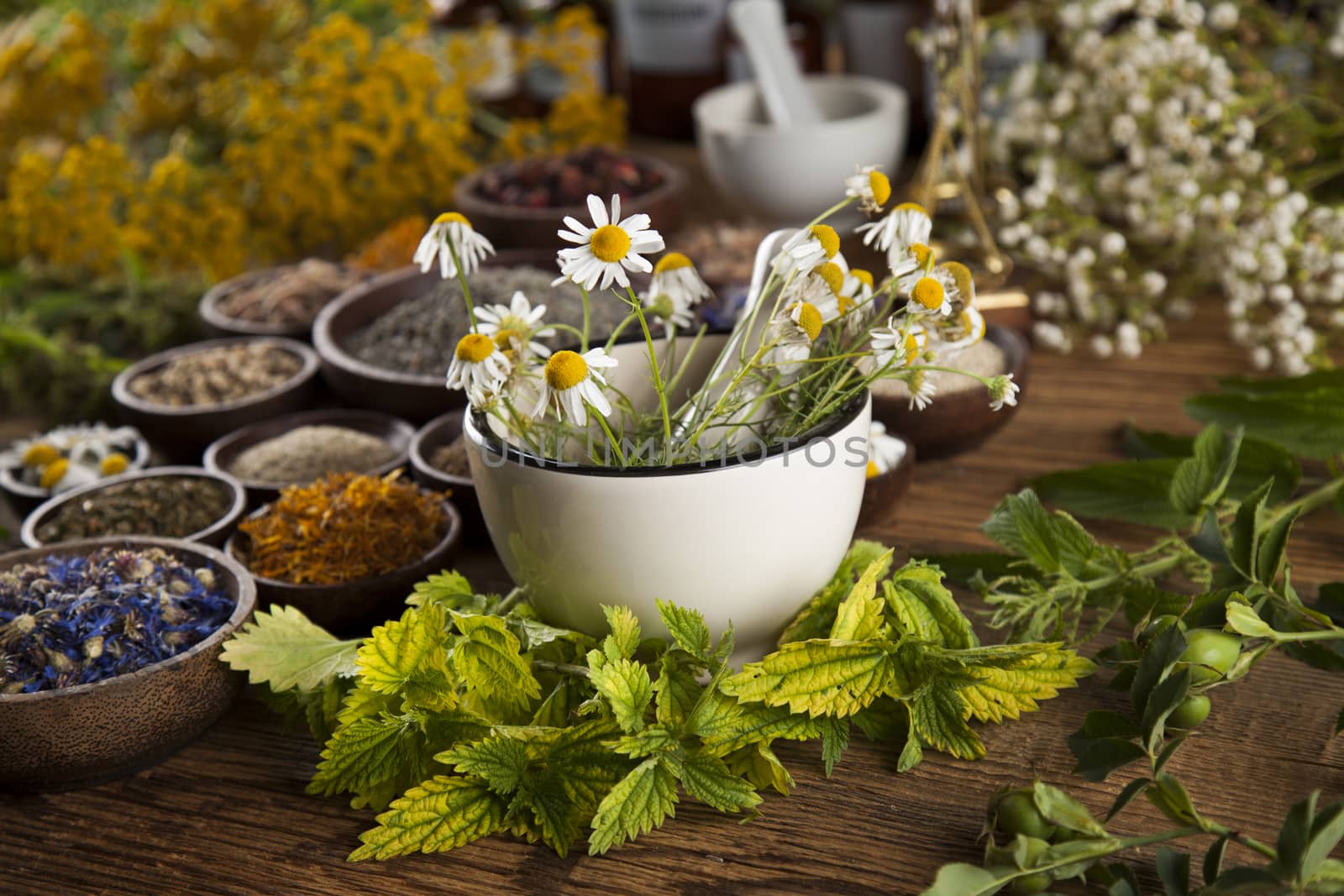 Natural medicine, herbs, mortar on wooden table background by JanPietruszka