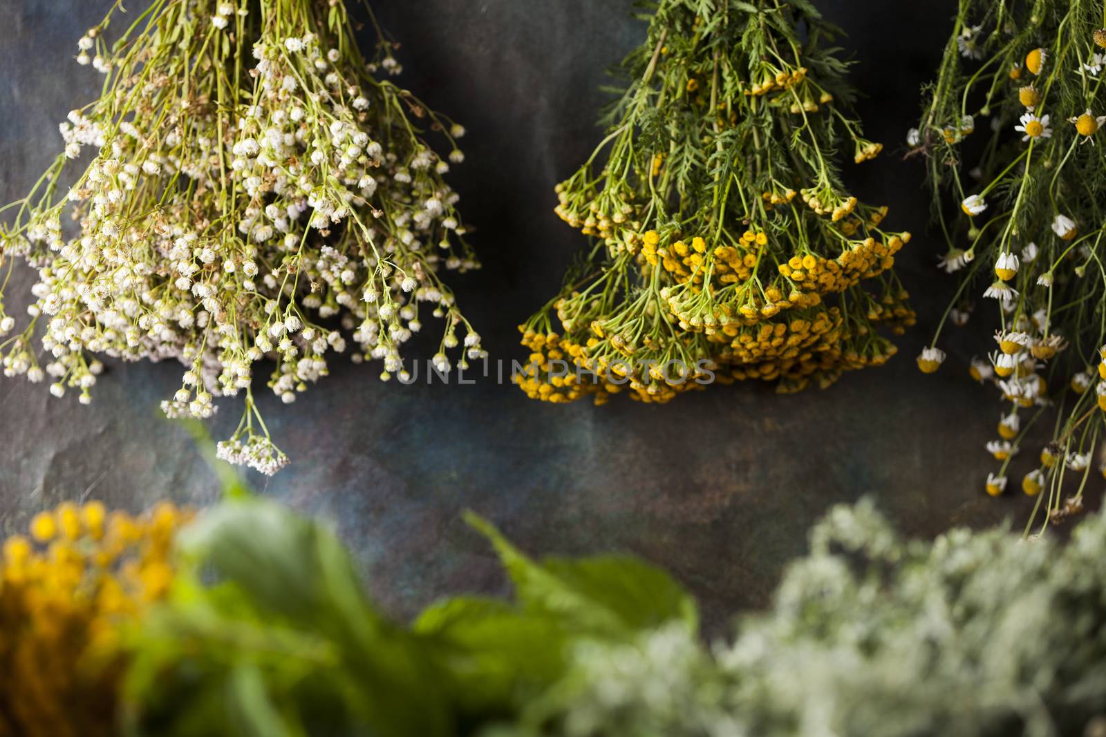 Fresh medicinal, healing herbs on wooden  by JanPietruszka