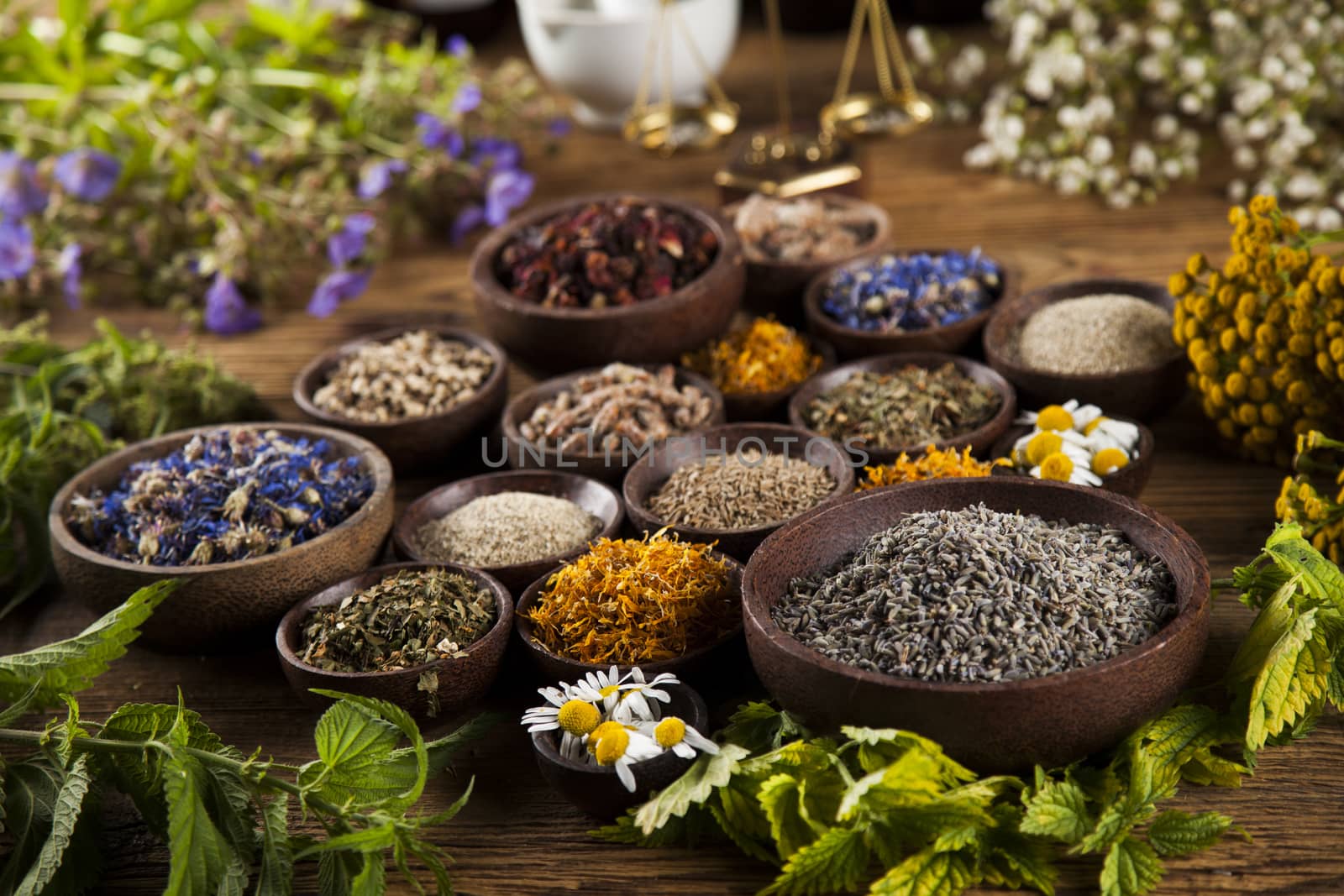 Healing herbs on wooden table, mortar and herbal medicine