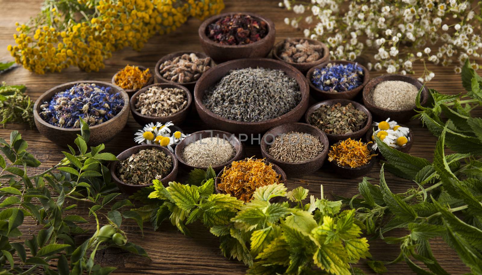 Herbs medicine and vintage wooden desk background by JanPietruszka